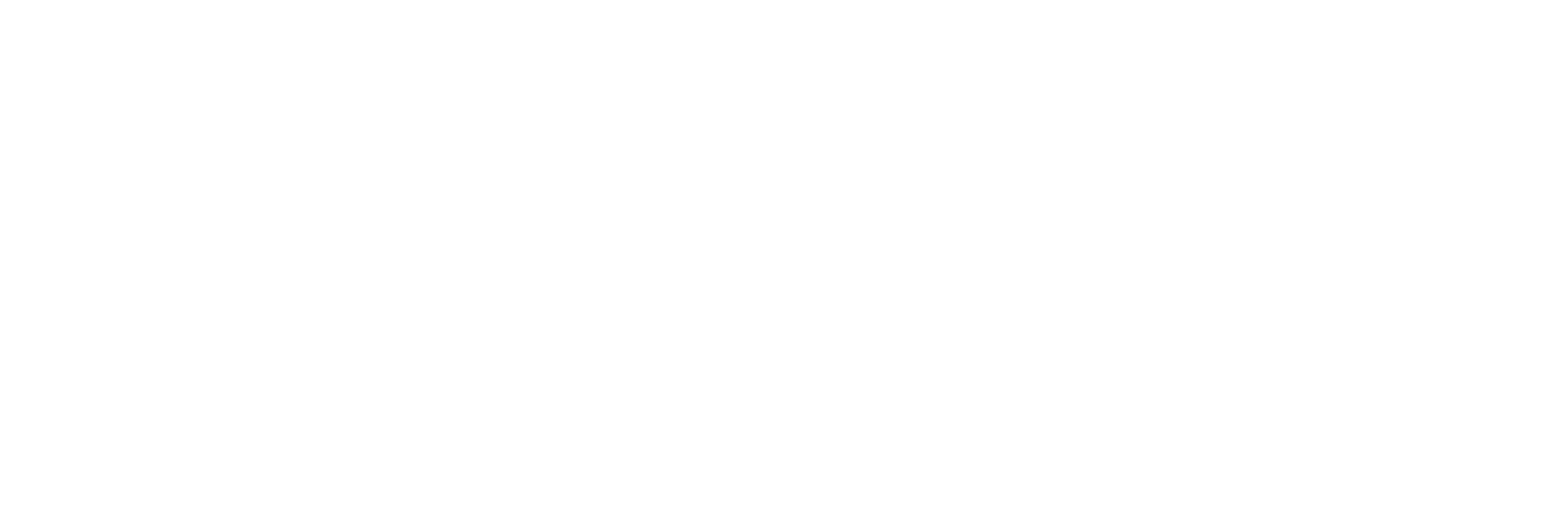 موکب حضرت صاحب الزمان (عج) استان فارس